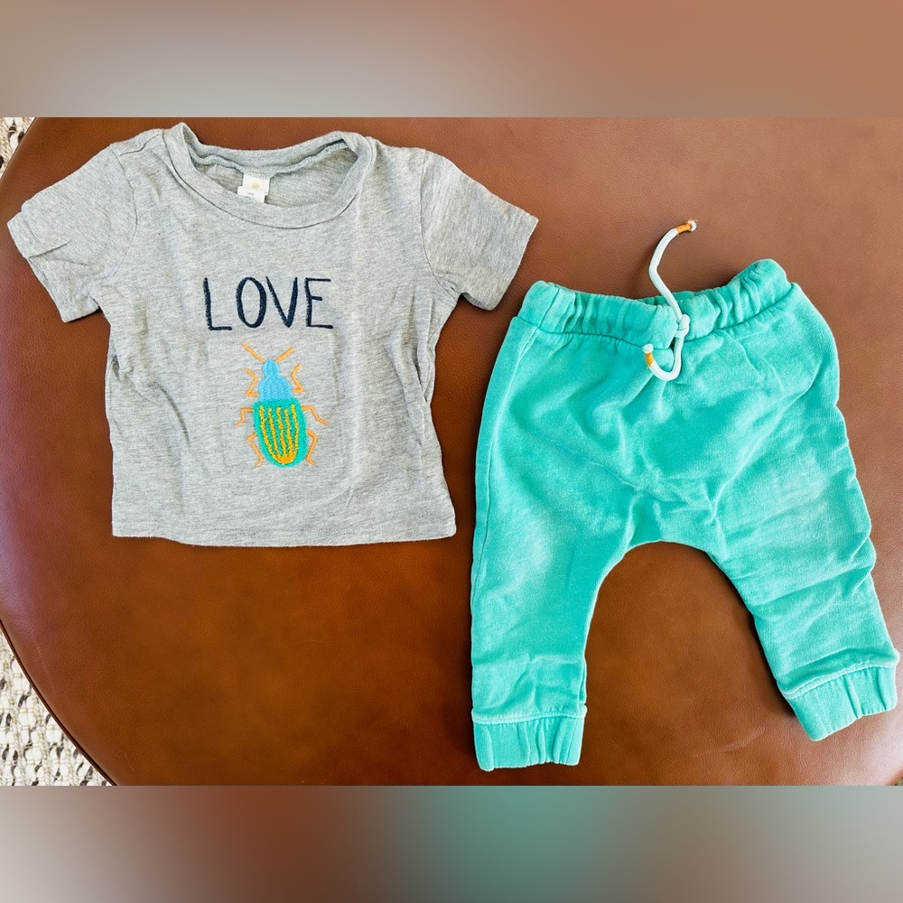 Tucker + Tate Lovebug Outfit (12-18 mos)